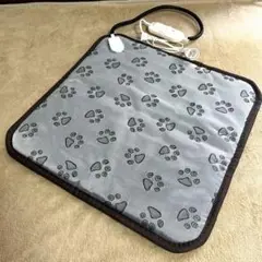 Item thumbnail for item d98485f2-c300-4fbe-a5bc-60758dd1feed