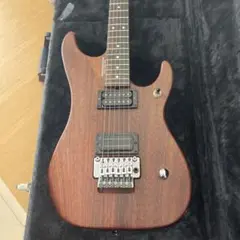 2025年最新】washburn n4の人気アイテム - メルカリ