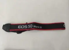 Item thumbnail for item 49ab96d1-fc48-4aa4-94ed-4d0b0e212903