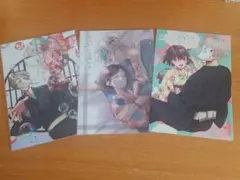 ☆即購入OK☆みにくい遊郭の子 リーフレット 3枚セット アニメイト 特典