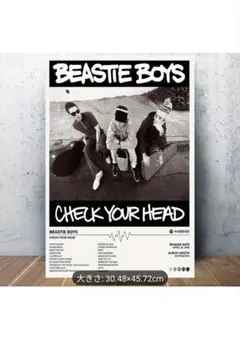 Beastie Boys Check Your Head ポスター