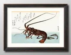 伊勢海老　水彩画 木製フレーム付き odb13222.jpg