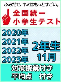 全国統一小学生テスト 2年生　4期分　11月　 解答用紙付き　対策授業付き