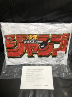 新品未開封　ジャンプGIGA winter アンケートプレゼントJ限定クッション