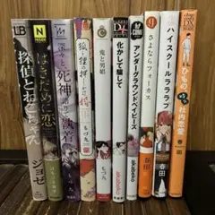 BLまとめ売り②10冊セット