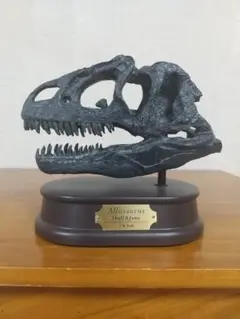 フェバリット　カマロサウルス　スカル&ジョーズ　恐竜　頭骨 フェバリットカマロサウルススカル&ジョーズ恐竜頭骨