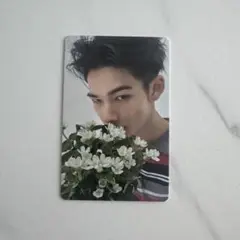 ENHYPEN 宵weverse 7形態 特典 トレカ ニキ