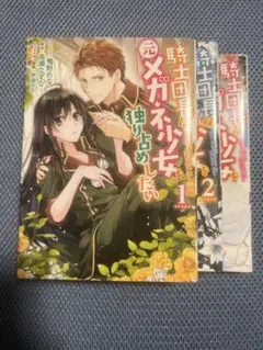 騎士団長は元メガネ女子を独り占めしたい 全3巻セット 完結 TLマンガ