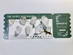 乙女鉱山産　水晶　小さいもの