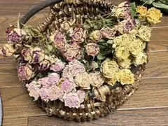 くすみ系スプレー薔薇3種類
