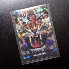 RIZINポテトスティック ポスターカードコレクション　RIZN.41