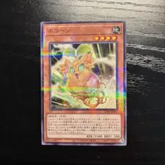 ネコーン　ノーパラ　ノーマルパラレル