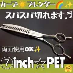 Item thumbnail for item 38a2a29c-dbc5-478d-8f2e-f1210274fb4c