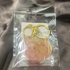イーブイ　アクキー　ナムコ