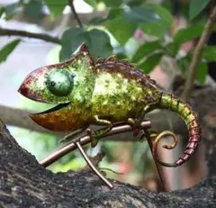 2025年最新】ブリキ カメレオンの人気アイテム - メルカリ