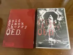 Acid Black Cherry 2009TOUR QED