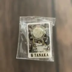 田中幸雄　ファイターズ　野球