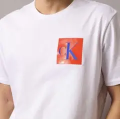 Calvin Klein Tシャツ 3XL ホワイト