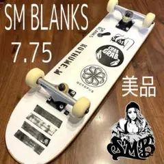 極美品　SMブランクス　エスエムブランクス　8.15 スケートボード　スケボー 極美品 SMブランクス エスエムブランクス 8.15 スケートボード