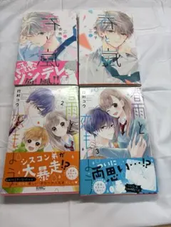 春と嵐 1.2巻 春雨と恋もよう 2.3巻 少女漫画 セット まとめ売り