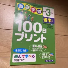 家庭学習 小学3年生 後半 100日プリント