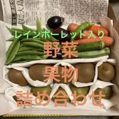 野菜詰め合わせ
