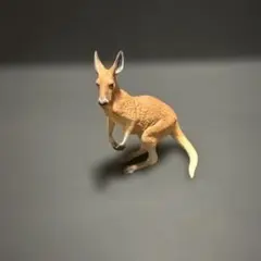 ネイチャーテクニカラー400 オーストラリア アカカンガルー