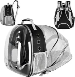 Item thumbnail for item 555bd362-1090-40a5-85df-21137b2d8b73