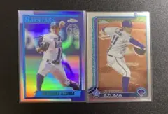 Item thumbnail for item 5b579148-f03b-4eff-98bd-ef70580899c0