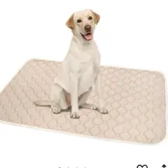 Item thumbnail for item 048e6d8d-414f-4b12-95e0-7475009e0a44