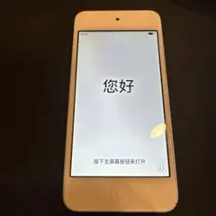 Apple iPod touch (第6世代) ブルー 本体　16ギガ