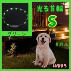 光る首輪 グリーン Sサイズ わんちゃん 夜 お散歩 安心 安全 USB充電