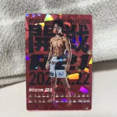 RIZIN ポテトスティック No.08