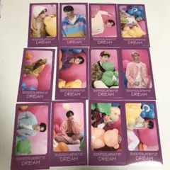 ⚪️SEVENTEEN DREAM TSUTAYA ステッカー 12枚セット