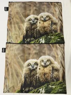 ローキー(LOQI) フクロウ柄　動物柄　エコバッグ　収納袋　2点
