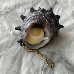 ガチャガチャ　開く蓋付き貝マスコット　サザエ