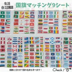 世界の国旗 マッチング9シート モンテッソーリ 特別支援 療育教材 保育