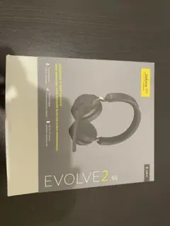 Item thumbnail for item ab4ad916-60ca-4c94-b85d-4fcd145ddba5