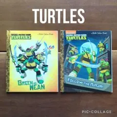 【希少】TEENAGE MUTANT NINJA TURTLES　２冊セット