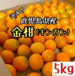 【鹿児島県産】キンカン 5kg 金柑 送料無料c