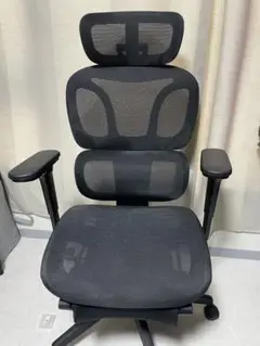 Flexispot C7 Lite ブラック　オフィスチェア