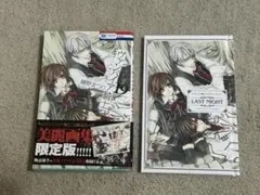 ヴァンパイア騎士 限定版 19巻 イラストレーションズ 特典付　画集付き特装版