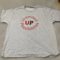 グレー Tシャツ Unlimited Possibilities 2017