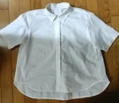 Item thumbnail for item a5e57fcb-7012-46c7-ac3d-04577b6973c5