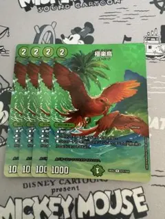 極楽鳥　max ４枚