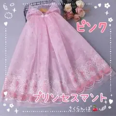 Item thumbnail for item 4f6e9282-5251-4c74-92b2-7a28943c26c1