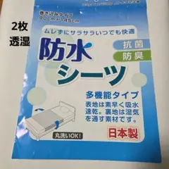 Item thumbnail for item 6147cd33-846c-4b5f-95e9-7563c85ec6dd