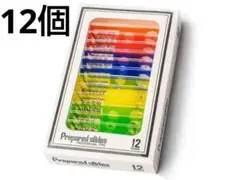 最終値下げ!プロフェッショナルタイプ 標本スライド 12個 顕微鏡 4色