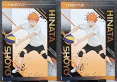 ハイキュー‼　日向翔陽　セット