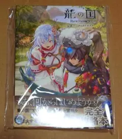 【新品未使用】龍の国 ルーンファクトリー 公式パーフェクトガイド 龍ファク